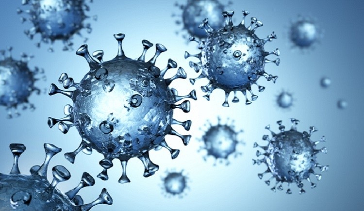 virus